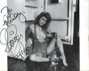 Vintage Erotica Forum Ginger Lynn 69
