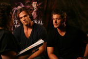 http://img231.imagevenue.com/loc524/th_169259844_Supernatural_Animation18_122_524lo.jpg