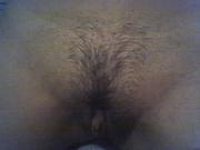 Young brunette hairy pussy -x1taqcwua4.jpg